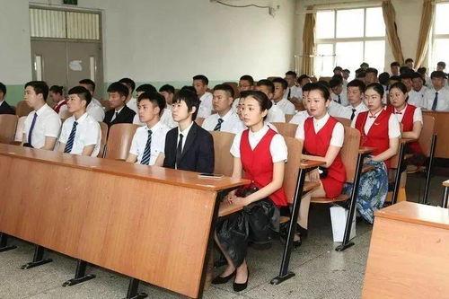 守护平安微头条主持人,携手共建和谐社区，主播引领安全生活新风尚